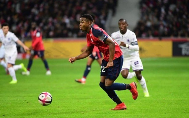 的默契配合 的默契配合